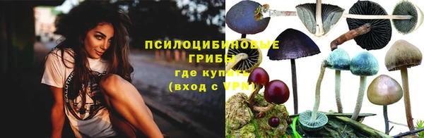 каннабис Новозыбков