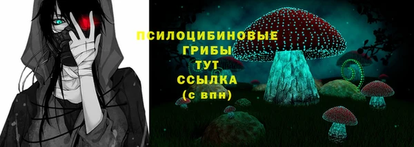 каннабис Новозыбков