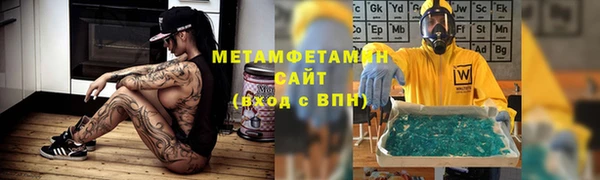прущие грибы Новодвинск