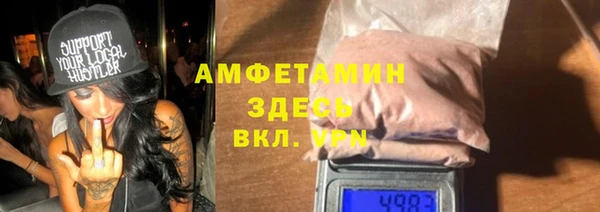 прущие грибы Новодвинск