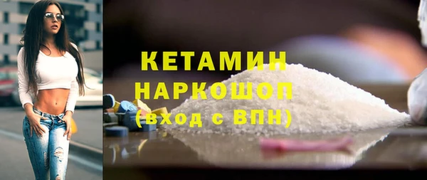 прущие грибы Новодвинск