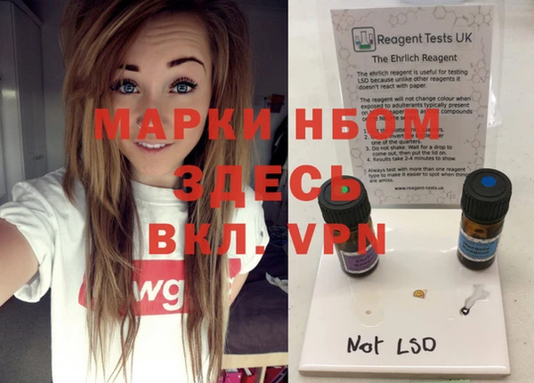 прущие грибы Новодвинск
