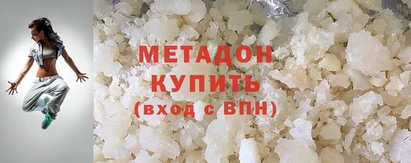 прущие грибы Новодвинск