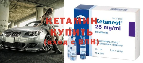 прущие грибы Новодвинск