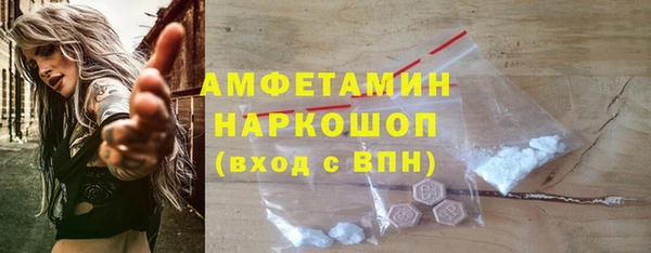прущие грибы Новодвинск