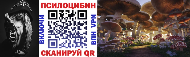цены наркотик  Курлово  Галлюциногенные грибы GOLDEN TEACHER 